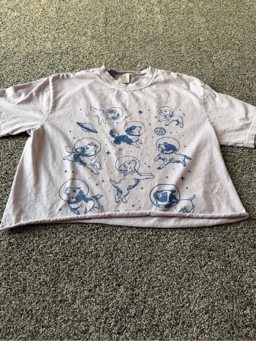 Comfort Colors Large Space Dogs Astronaut Graphic Oversized Crop Tee Pink